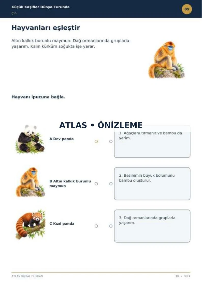 China Activity Book · Turkish · limited preview