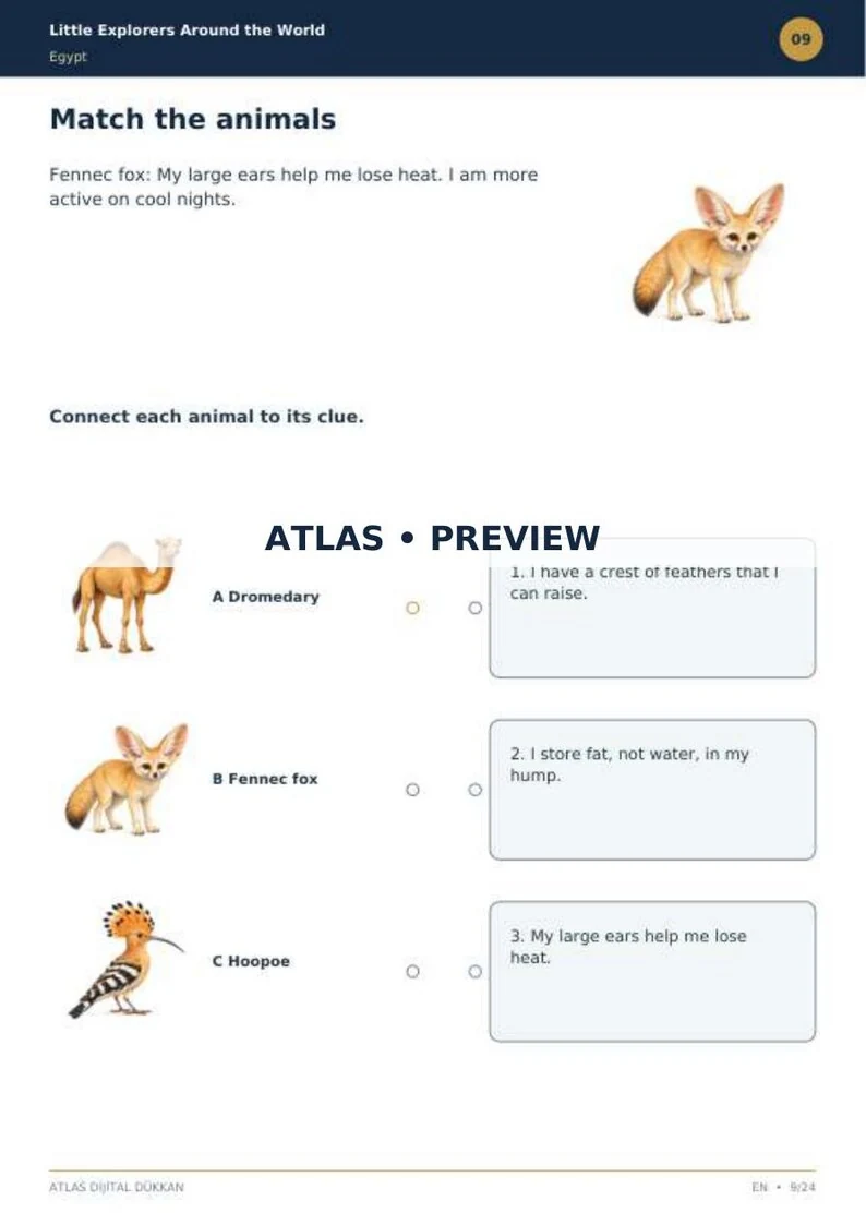 Egypt Activity Book · English · limited preview