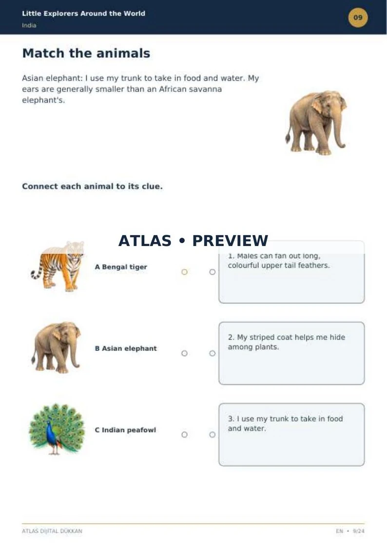 India Activity Book · English · limited preview