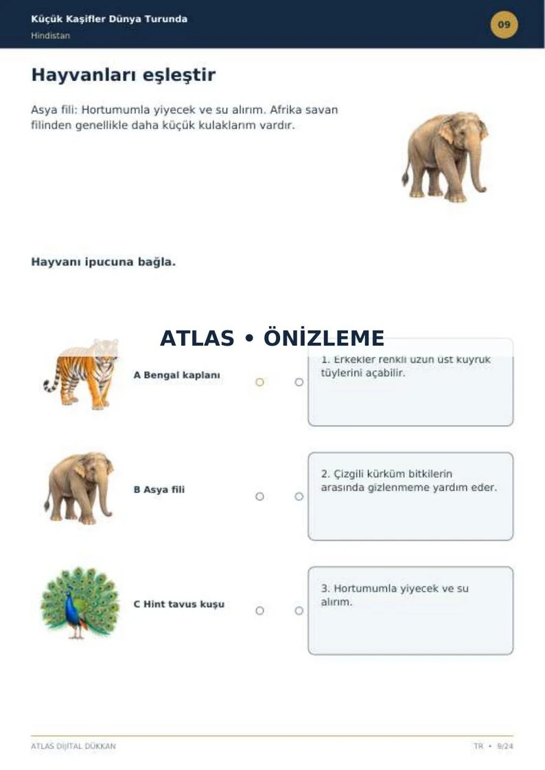 India Activity Book · Turkish · limited preview