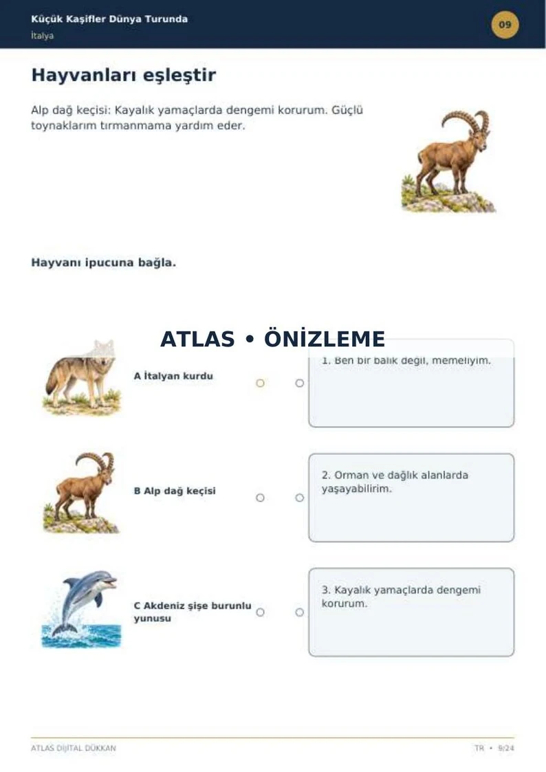 Italy Activity Book · Turkish · limited preview