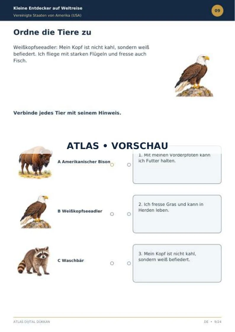 USA Activity Book · German · limited preview