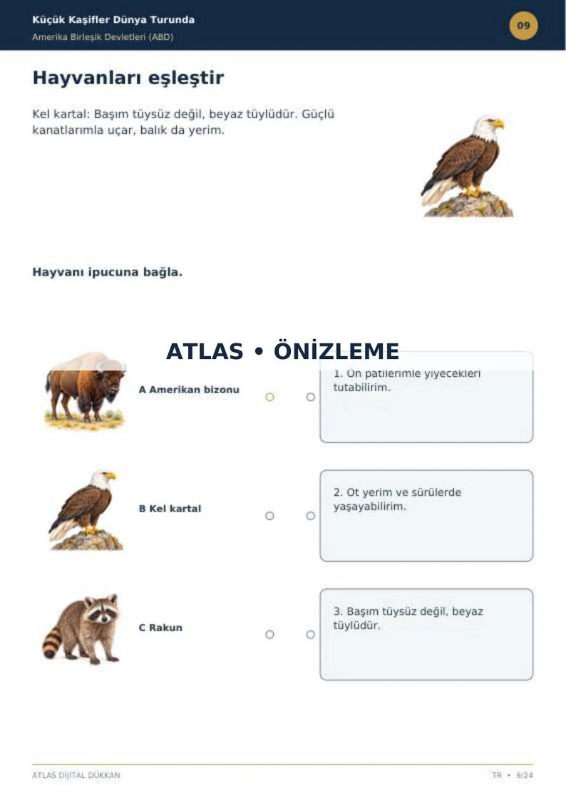 USA Activity Book · Turkish · limited preview